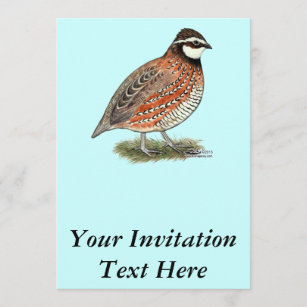 Invitation Rooster de Quail