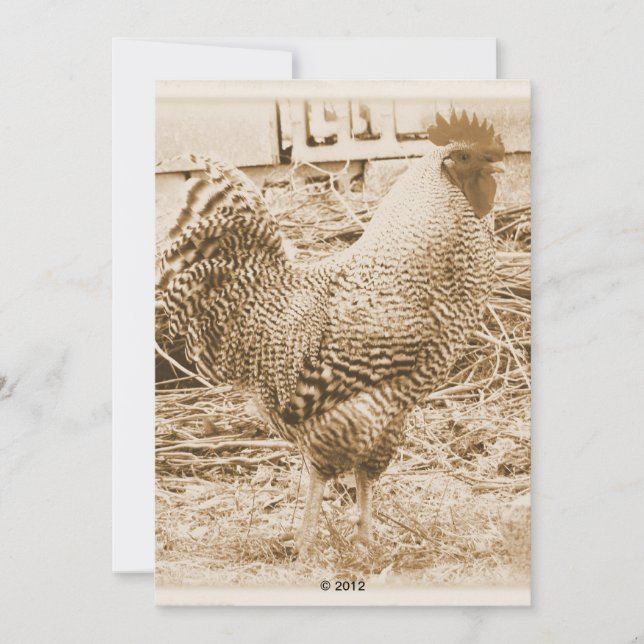 Invitation Rooster de style vintage (Devant)