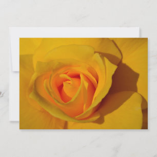 Invitation Rose jaune orange rose rose romantique