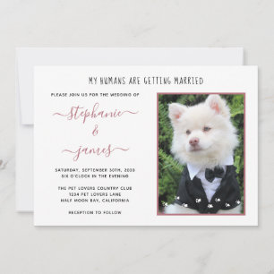 Invitation Rose Photo pour animaux de compagnie Gold Humains