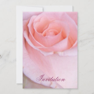 Invitation Rose rose_