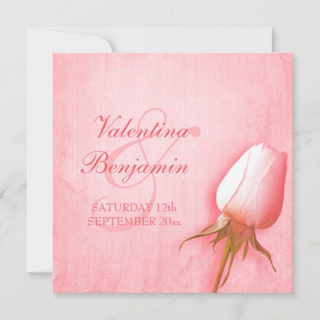 Invitation Rose rose pâle buse mariage carré (Devant)