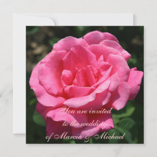 Invitation Rose rose profonde magnifique