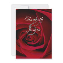 Rose rouge élégant