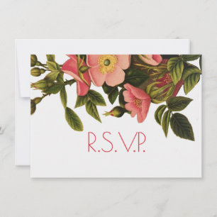 Invitation Roses Anciennes Jolies Roses Botaniques Roses