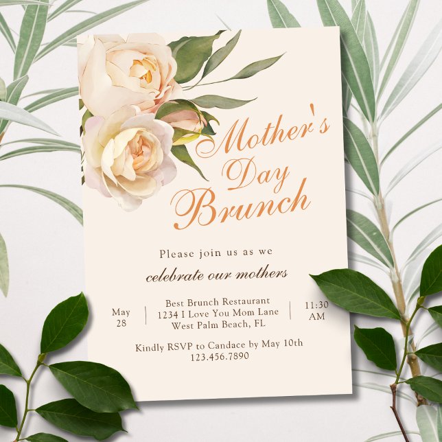 Invitation Roses blanches chic adorables Brunch de la fête de (Créateur téléchargé)