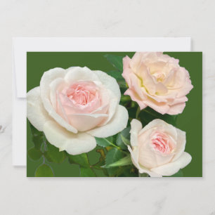 Invitation roses blanches roses roses romantiques 