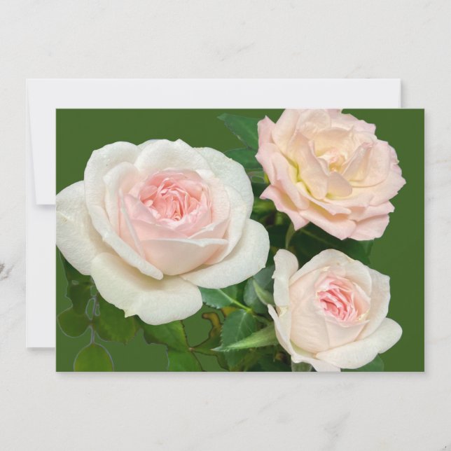 Invitation roses blanches roses roses romantiques  (Devant)