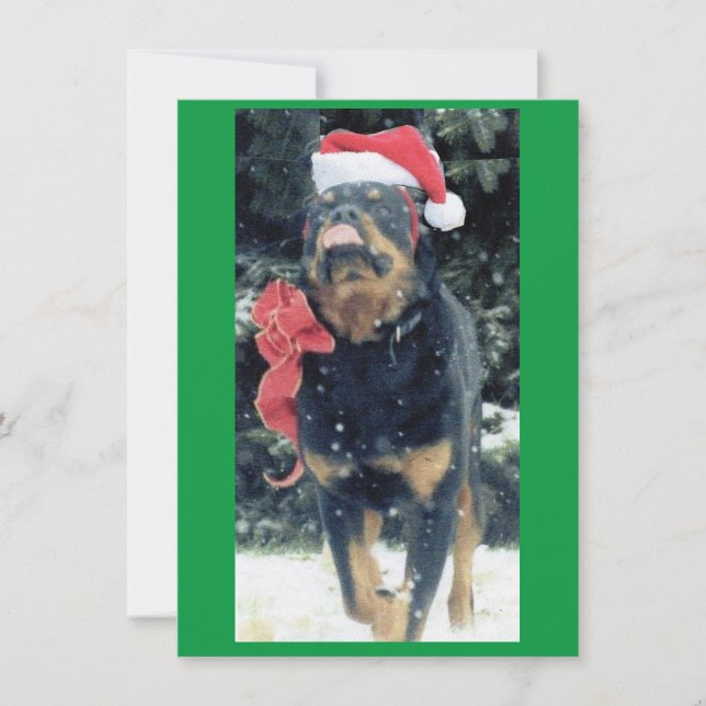 Invitation rottweiler de noël avec chapeau de santa, rouge, d (Devant)