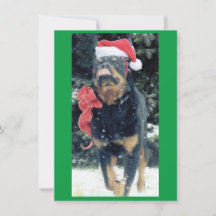rottweiler de noël avec chapeau de santa, rouge, d