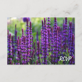 Invitation RSVP Flowers Lavender