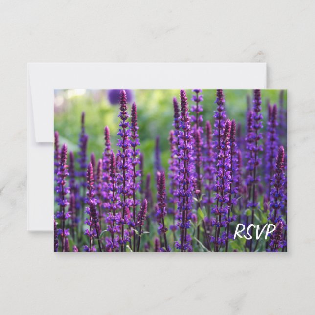 Invitation RSVP Flowers Lavender (Devant)