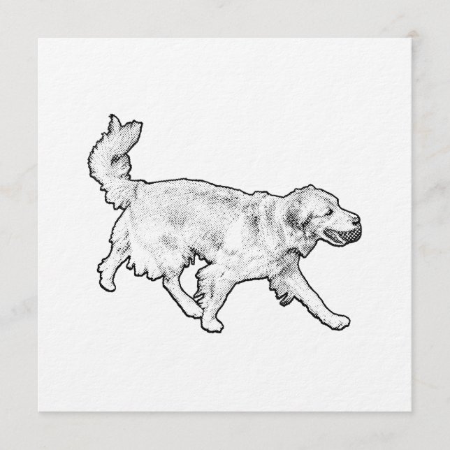 Invitation Rushing Trail Welcome (Devant)