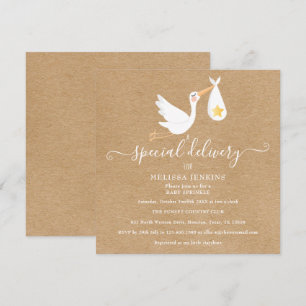 Invitation Rustic Special Delivery Stork Baby Sprinkle Douche