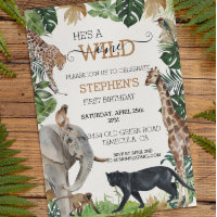Safari Jungle Anniversaire Sauvage Black Panther
