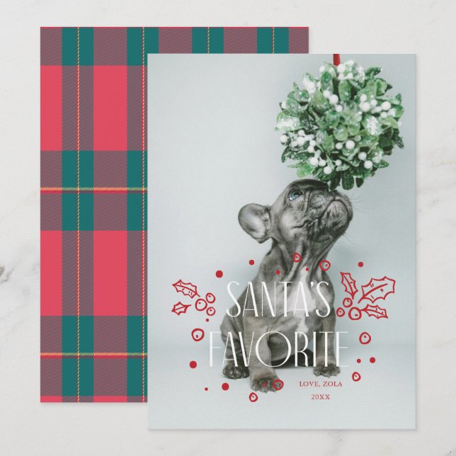 Invitation Santas Favori Pet Photo Holiday Card (Devant / Derrière)