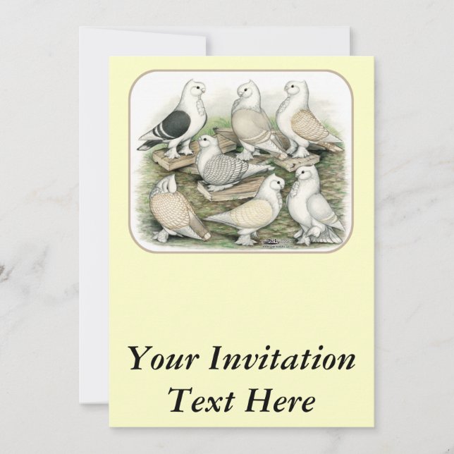 Invitation Satinettes de pigeons de frill classique (Devant)
