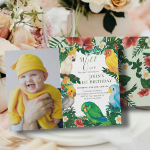 Invitation Sauvageon Tropical Exotique Perroquets Garçon 1er