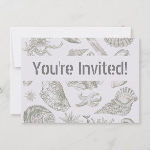 Invitation Seashell Soft Antique Art Beach Shops