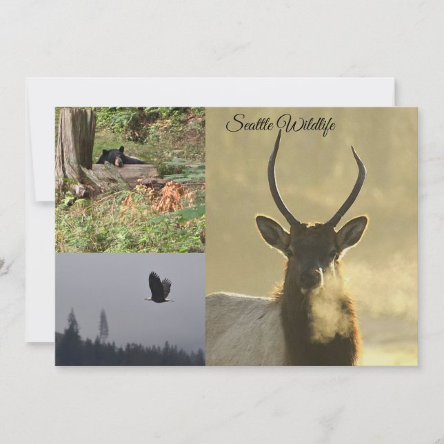 Invitation Seattle Wildlife (Devant)