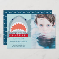 Shark Light Blue Pool Photo Boy Anniversaire