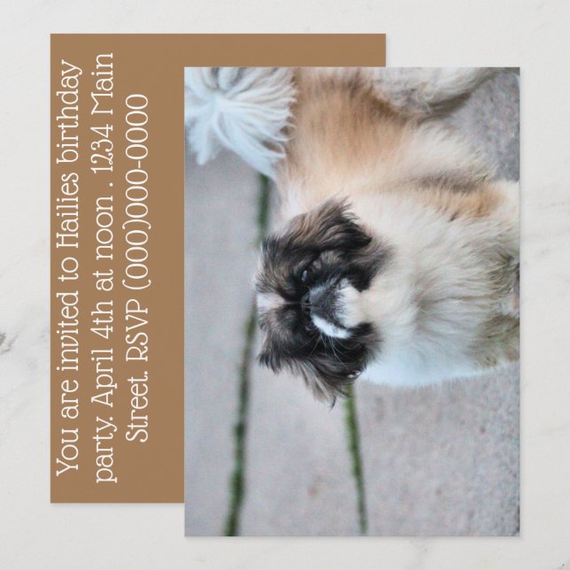 Invitation Shih Tzu (Devant / Derrière)