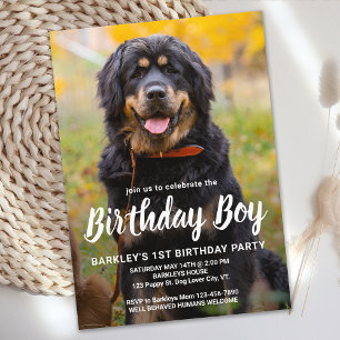 Invitation Simple Chien Chien Chien Chien Anniversaire Fête P