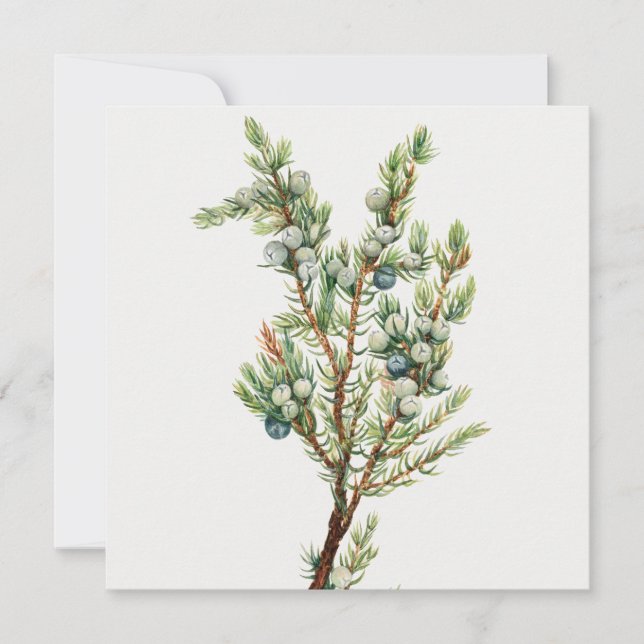 Invitation Simple Juniper Vintage de montagne (Devant)