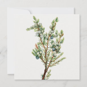 Invitation Simple Juniper Vintage de montagne