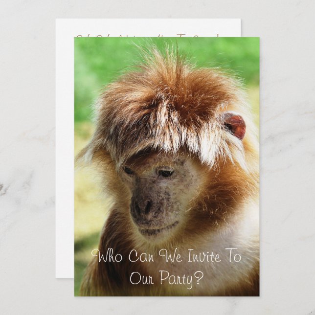 INVITATION SINGES (Devant / Derrière)