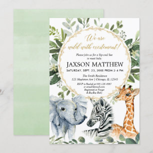 Invitation Sip and See safari baby shower, rencontre bienvenu