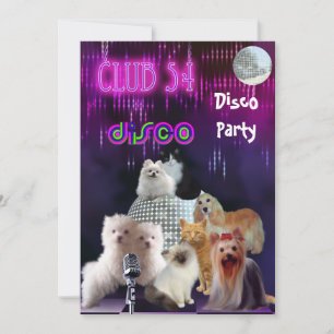Invitation Soirée Dames Disco Party Chiens Chats