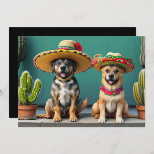 Invitation sombreros perros