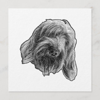 Invitation Spinone Warm Gathering