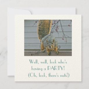 INVITATION SQUIRREL CURIEUX SUR LA BARRIÈRE REGARDANT DANS LA