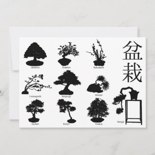 Invitation Styles de base de l'arbre Bonsai 10