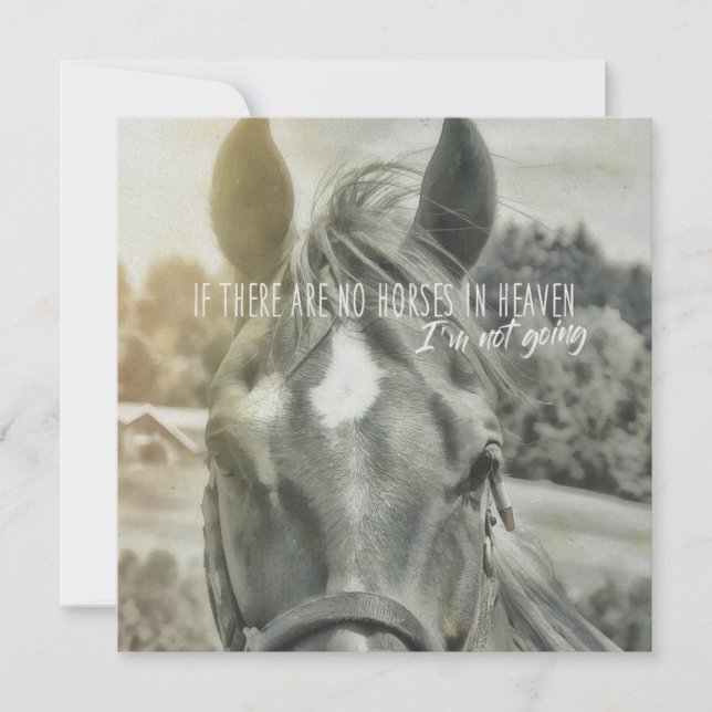 Invitation SUMMER BREEZE 5.25 x 5.25 card (Devant)
