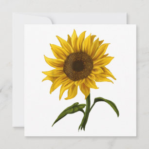 Invitation Sunflower Sunshine Floral Aquarelle Fleur