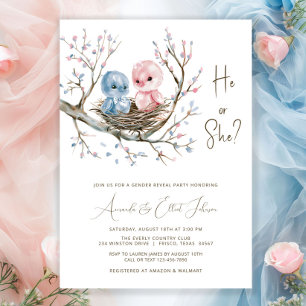 Invitation Sweet Baby Birds Sexe Reveal Party