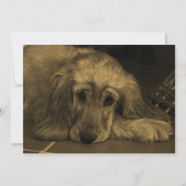 Invitation Sweet Dog - Golden Retriever en Sepia Tones (Devant)