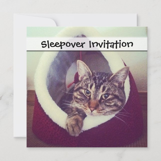 Invitation Tabby Kitty Dans La Cabine Photo De Gros Plan (Devant)