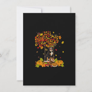 Invitation Thanksgiving Maple Citrouille Bernese Mountain Dog