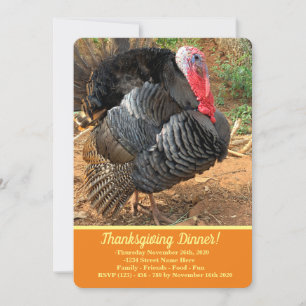 Invitation Thanksgiving Turquie