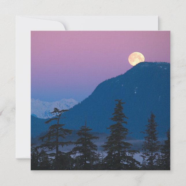 Invitation Tombe nocturne en Alaska (Devant)