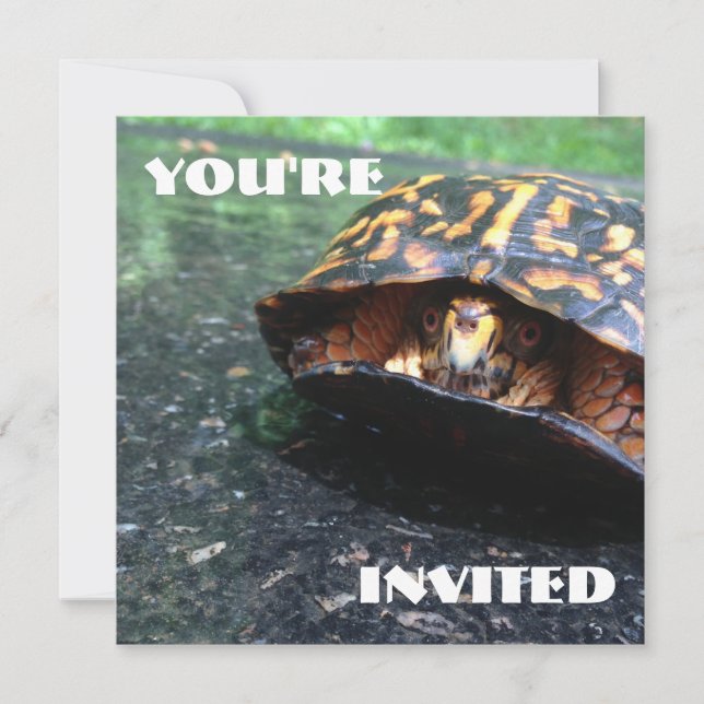 Invitation Tortue (Devant)