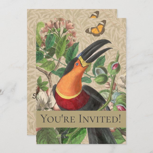 Invitation Toucan Jungle Tropical Bird Belle antique (Devant / Derrière)