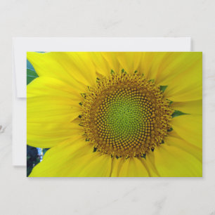 Invitation Tournesol et graines, Spirale, Nombre d'or 