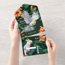 Perroquet de la jungle hibiscus monstera leaf