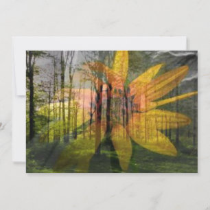 Invitation/Toutes les cartes d'occasion Ensemble d