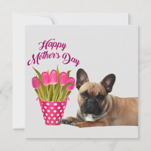Invitation Trois bouledogues français Merci Bouledogue França